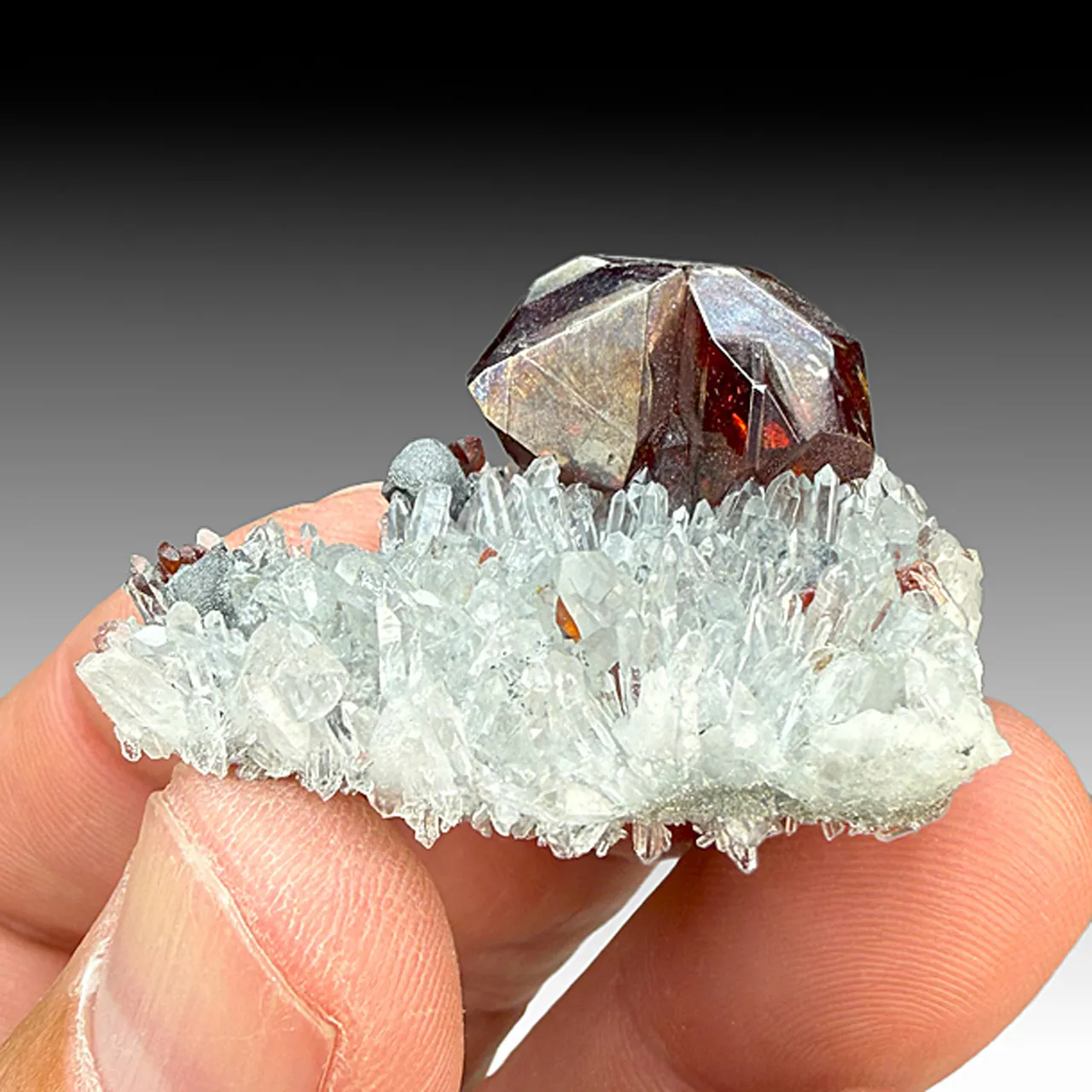 Sphalerite with Quartz (1349) - image 1