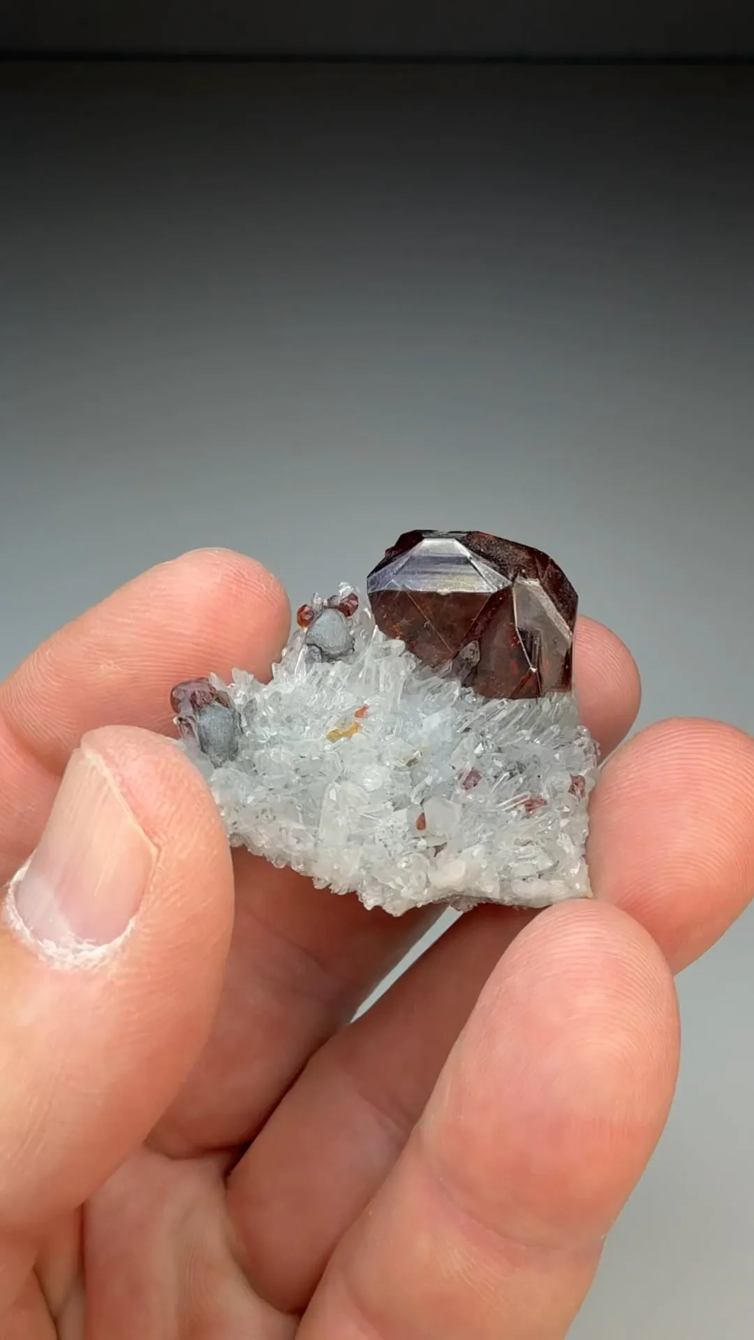 Sphalerite with Quartz (1349) - image 2