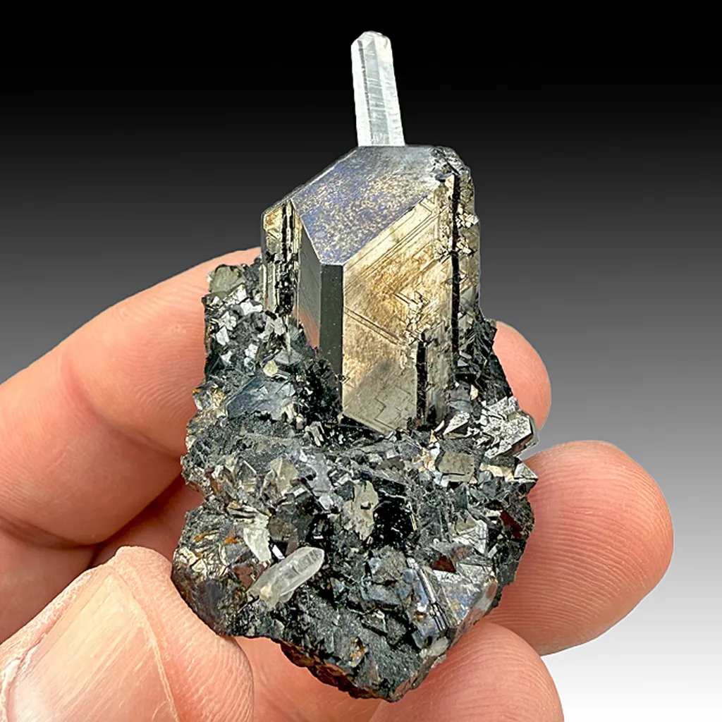 Sphalerite with Quartz (1901) image