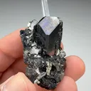 Sphalerite with Quartz (1901) - image 2