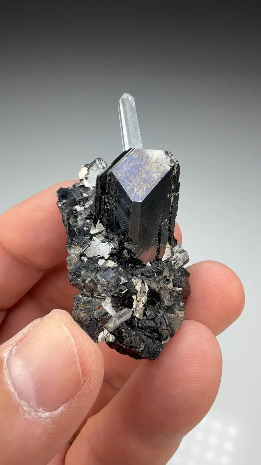 Sphalerite with Quartz (1901) - image 2