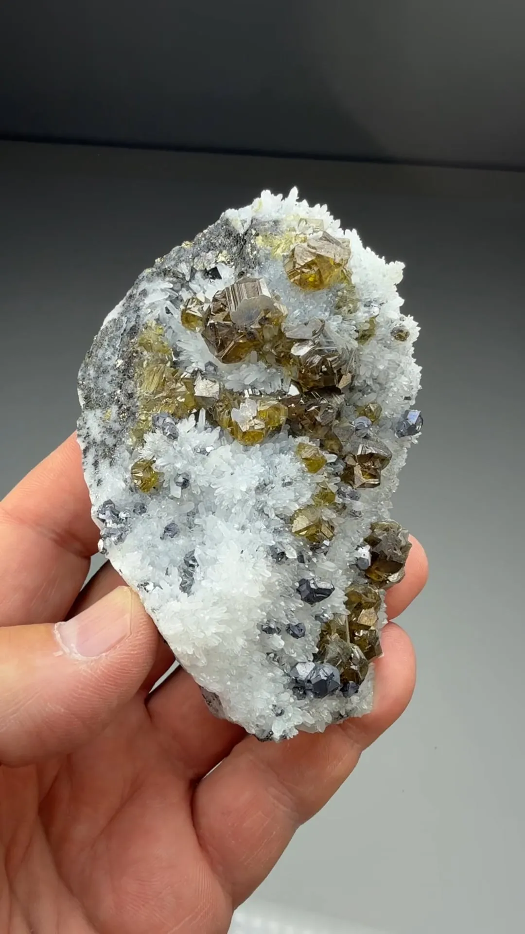 Sphalerite with Quartz, Galena (2011) - image 2