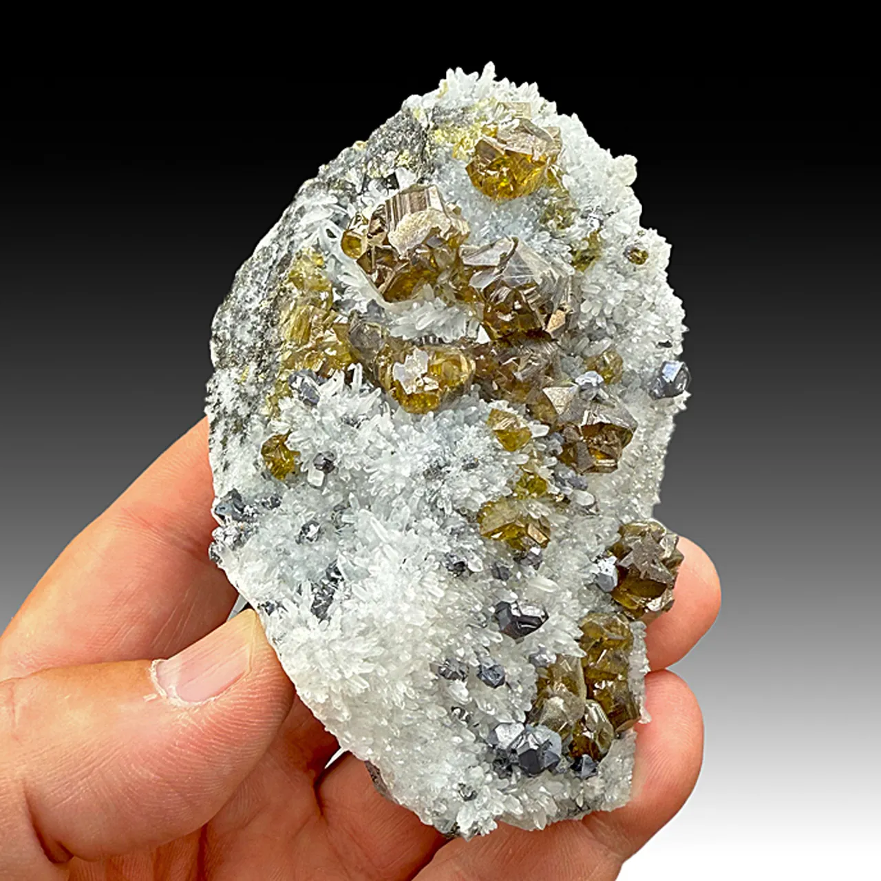 Sphalerite with Quartz, Galena (2011) - image 1