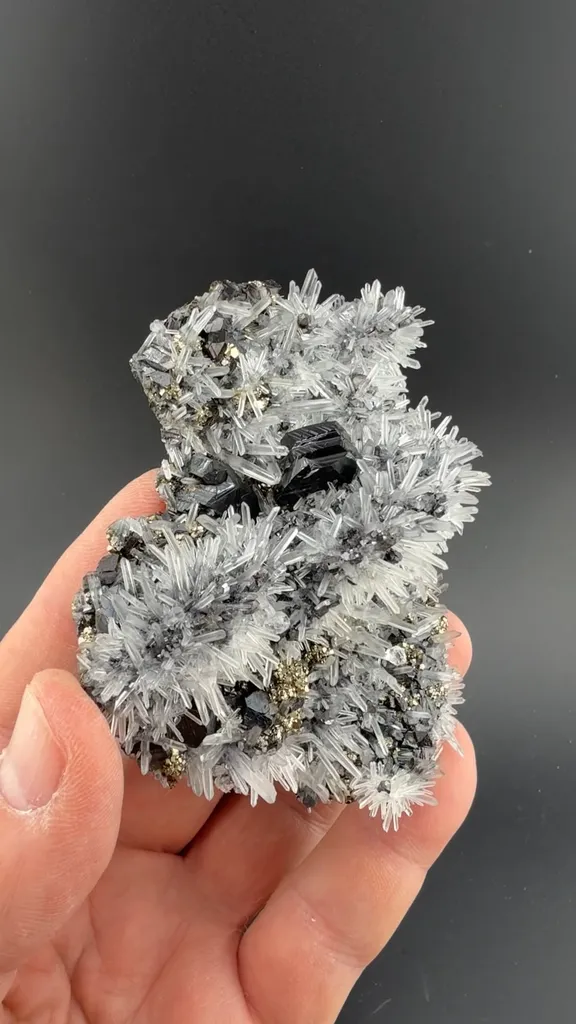 Sphalerite with Quartz, Galena, Pyrite image