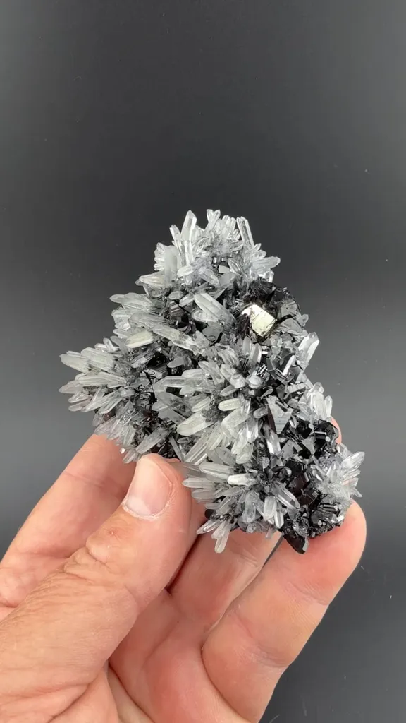 Sphalerite with Quartz, Pyrite image