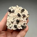 Sphalerite with Quartz, Rhodochrosite (2125) - image 2