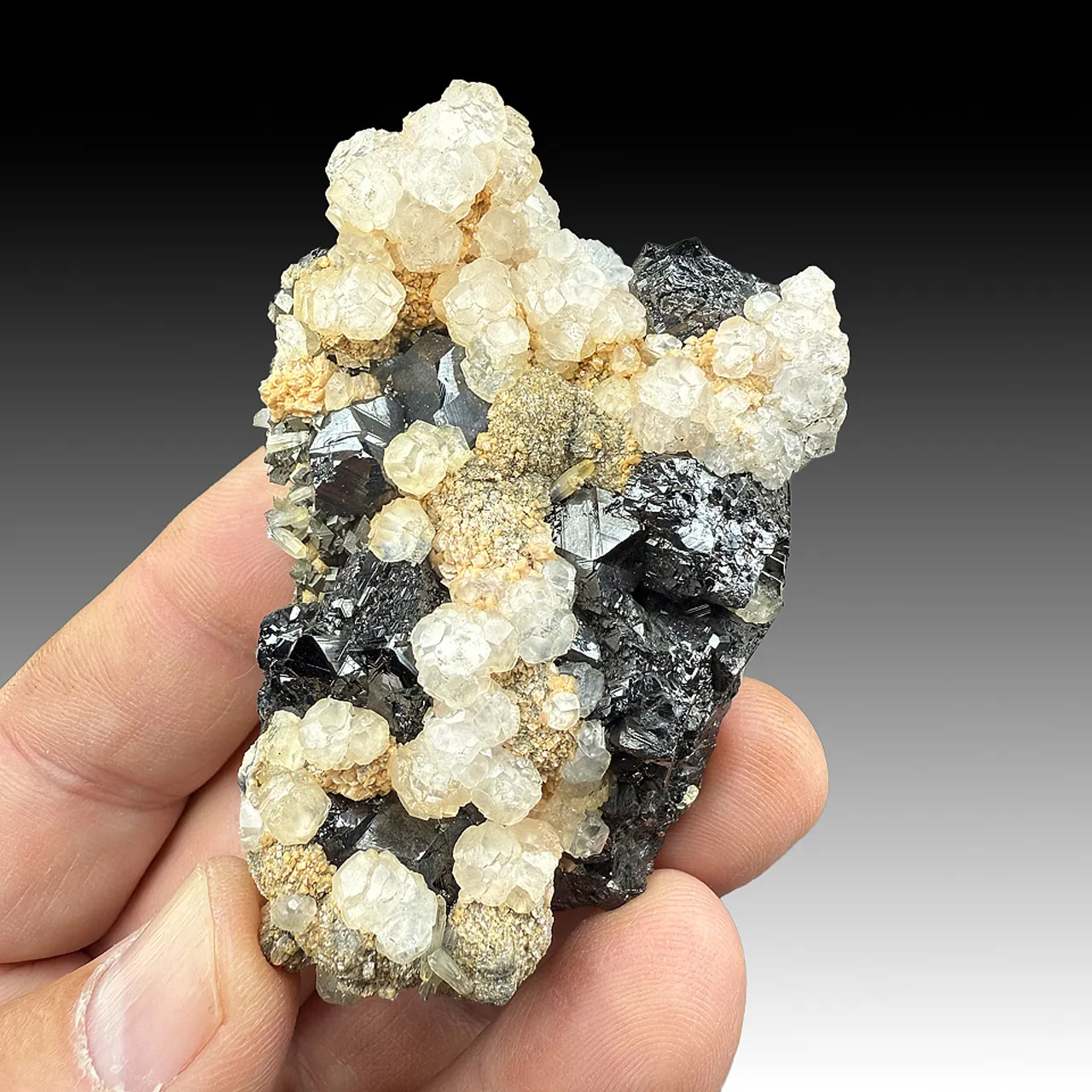 Sphalerite with Rhodochrosite, Arsenopyrite, Calcite, Quartz - image 1