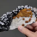 Sphalerite with Siderite on Quartz - image 2