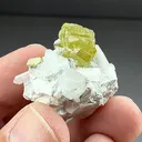 Sphalerite with Talc, Quartz (2374) - image 2