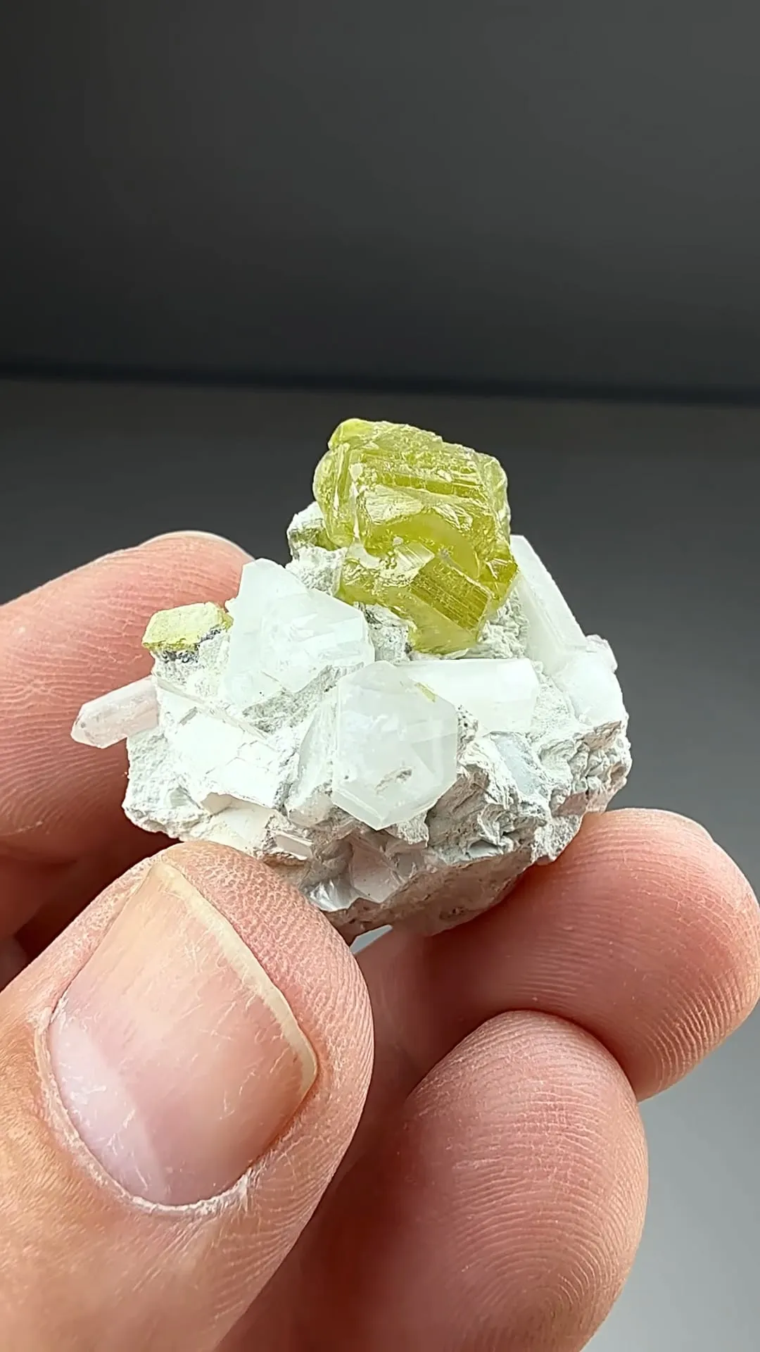 Sphalerite with Talc, Quartz (2374) - image 2