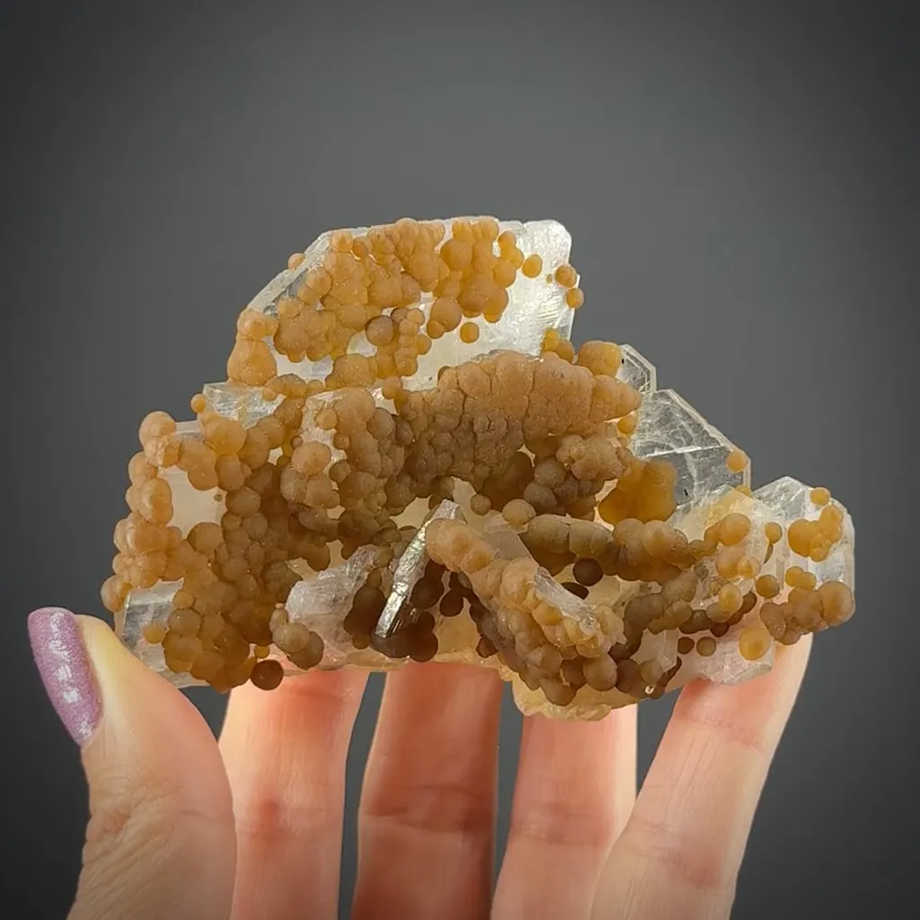 Sphärosiderite on Baryte - image 2
