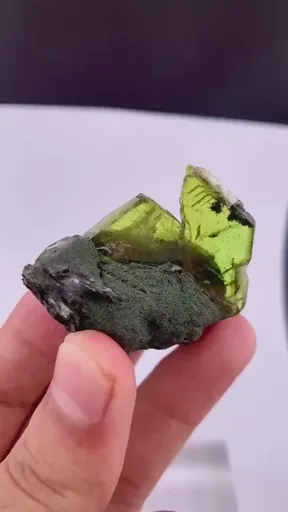 specimen video