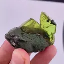 specimen video