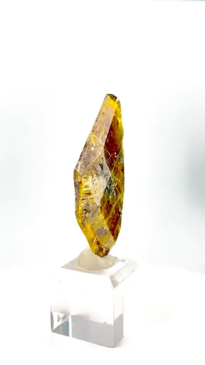 specimen video