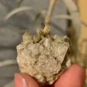 Sphene from Pakistan - image 5