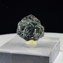 specimen video