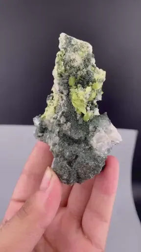 specimen video