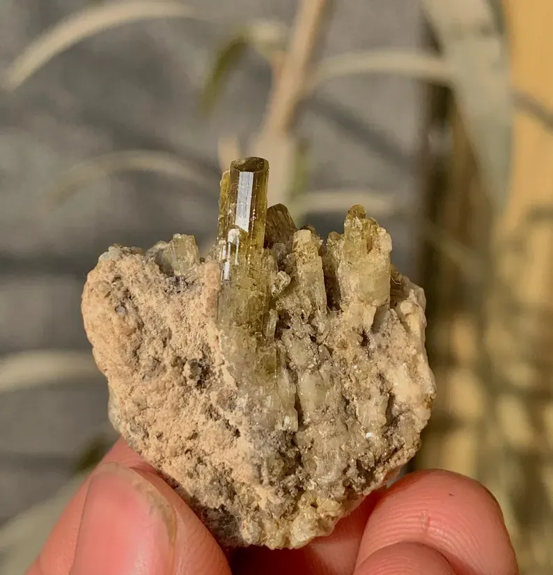 Sphene from Pakistan - image 2