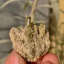 Sphene from Pakistan - image 2