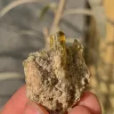Sphene from Pakistan - image 1