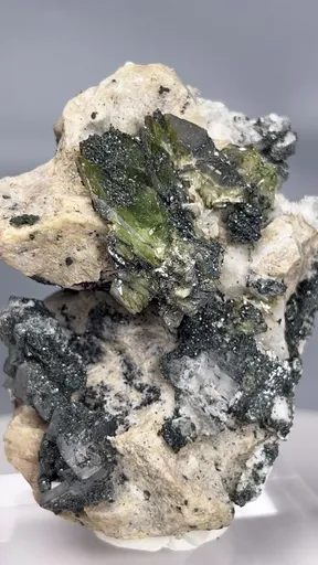 specimen video