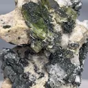 specimen video