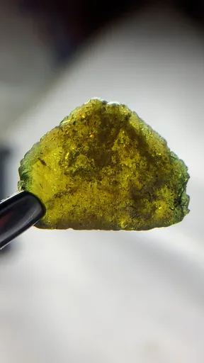specimen video