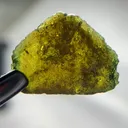 specimen video