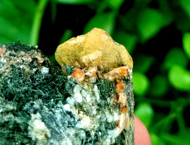 Sphene from Pakistan, Gilgit-Baltistan, Skardu District, Shigar Valley - image 7