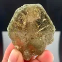 specimen video