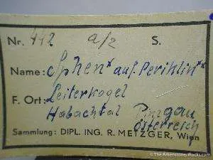 Sphene (Twinned) on Pericline (Feldspar) - image 2