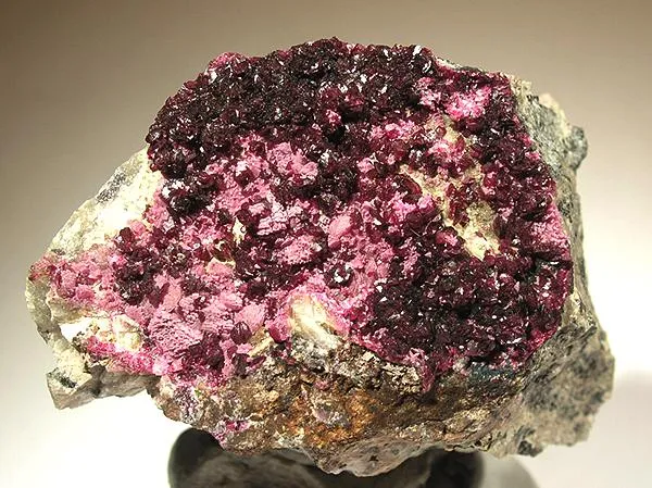 Spherocobaltite, Erythrite image
