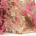 Spherocobaltite on Calcite - image 3