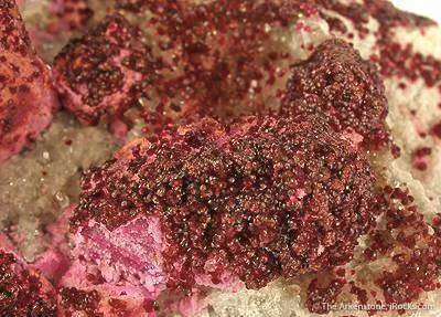 Spherocobaltite on Calcite - image 4