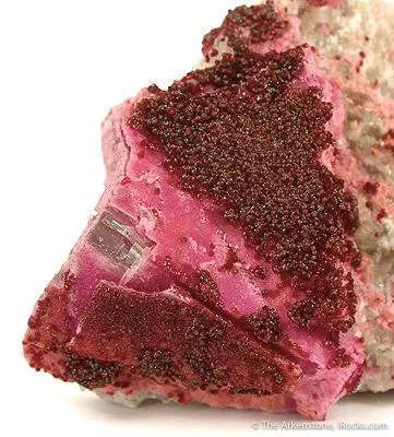 Spherocobaltite on Calcite - image 2