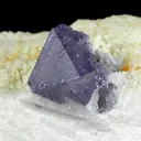 Spinel, Chondrodite - image 2