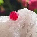 Spinel Crystal in Marble from Mogok, Myanmar - image 8