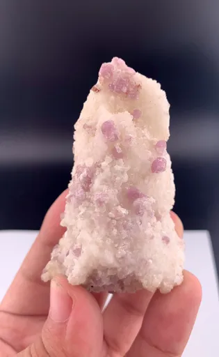 specimen video
