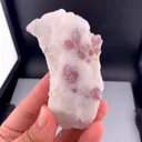 specimen video