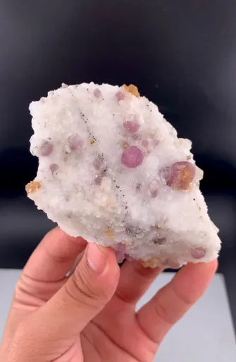 specimen video