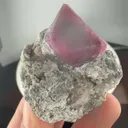 specimen video