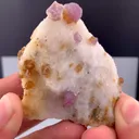 specimen video