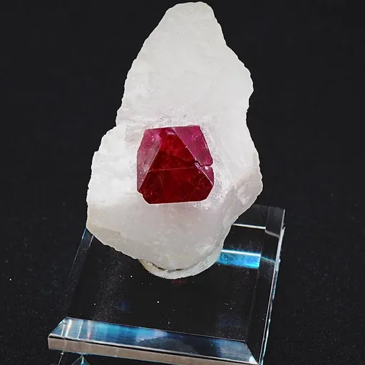 specimen video