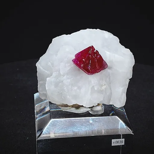 specimen video