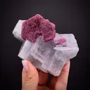 Spinel ps. Ruby on Calcite - image 1