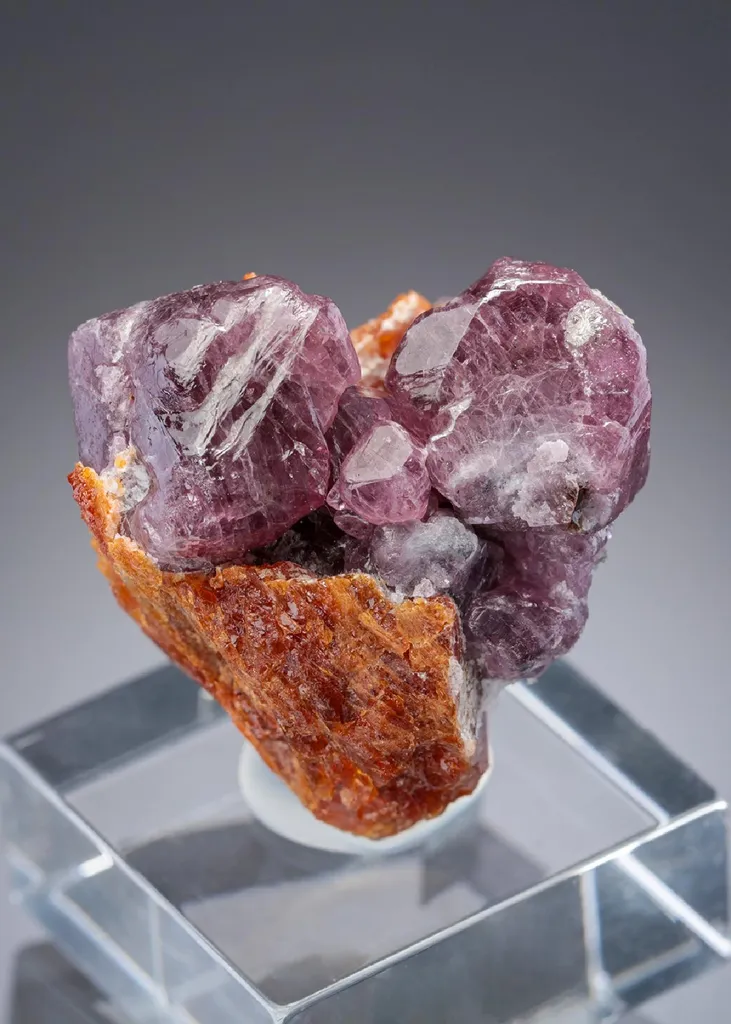 Spinel with Chondrodite image
