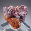 Spinel with Chondrodite - image 1