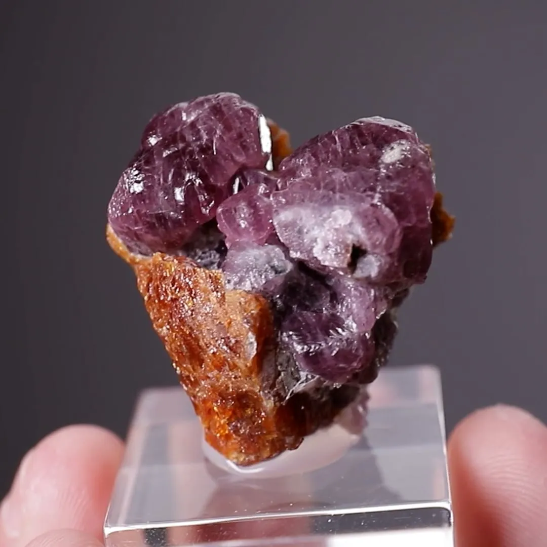 Spinel with Chondrodite - image 2