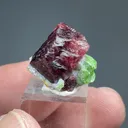 Spinel with Pargasite - image 2