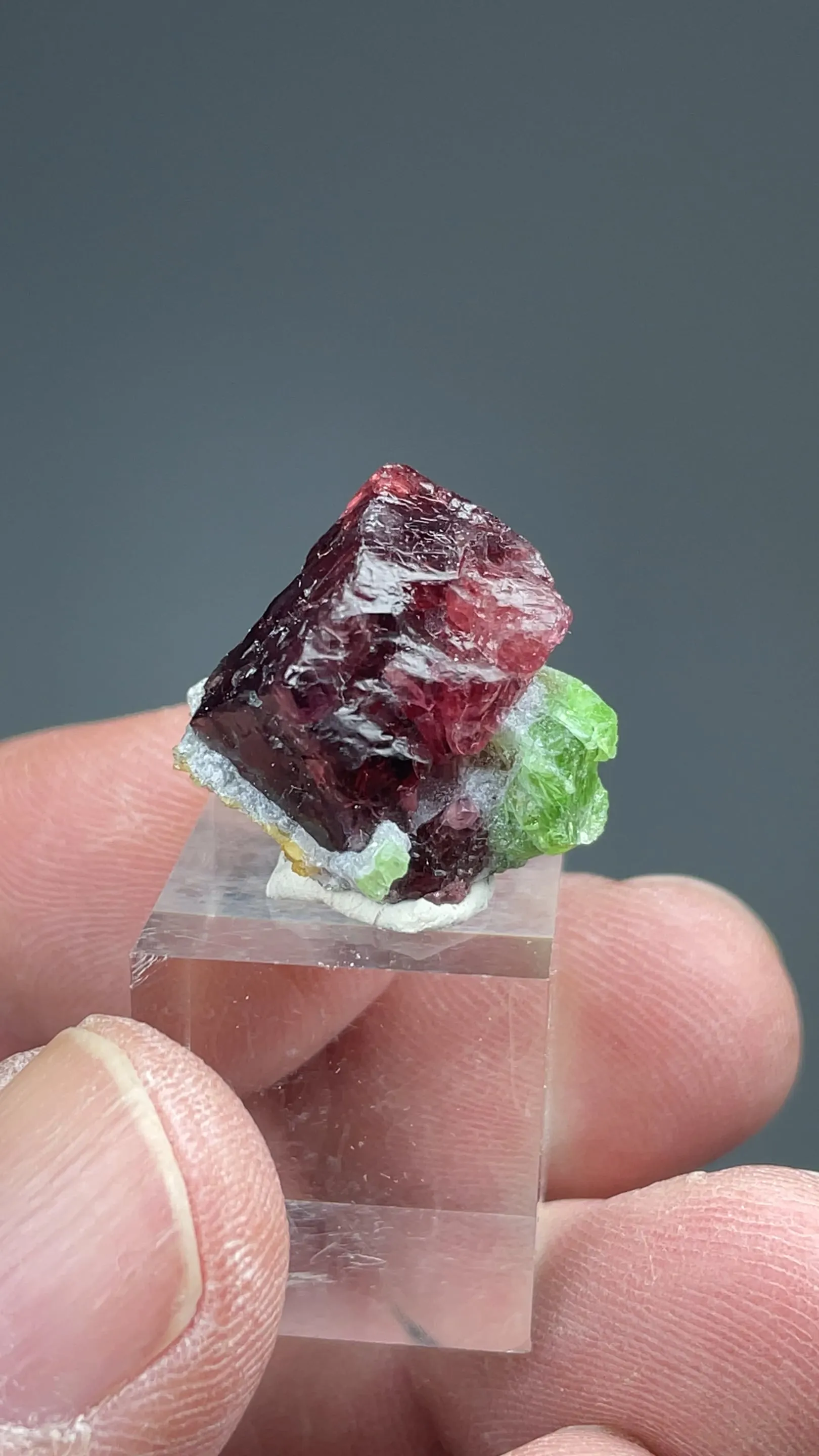 Spinel with Pargasite - image 2